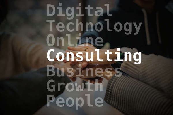 Working with a Consulting Services Company